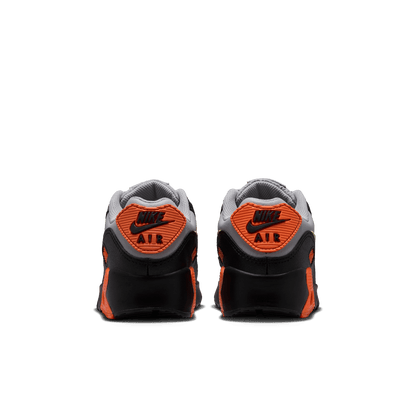 Big Kids’ Nike Air Max 90 LTR