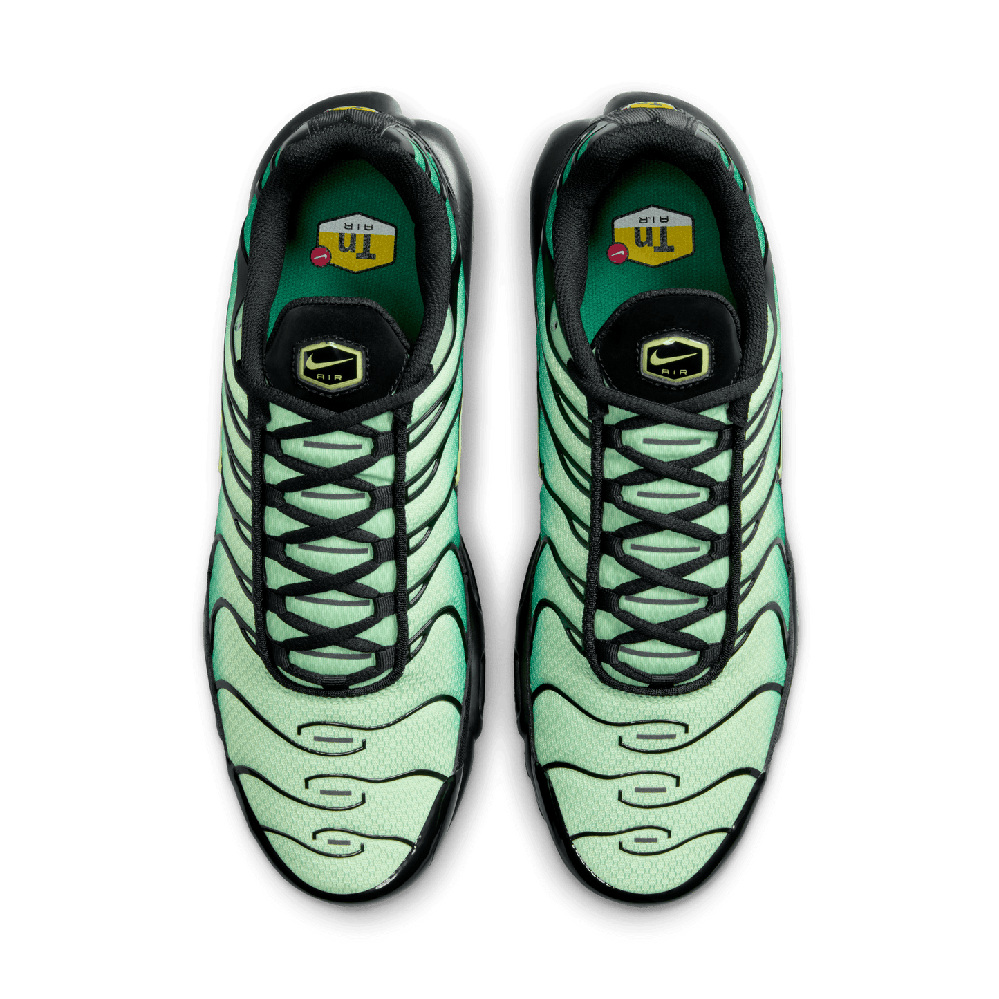 Men's Nike Air Max Plus "Vapor Green Gradient"