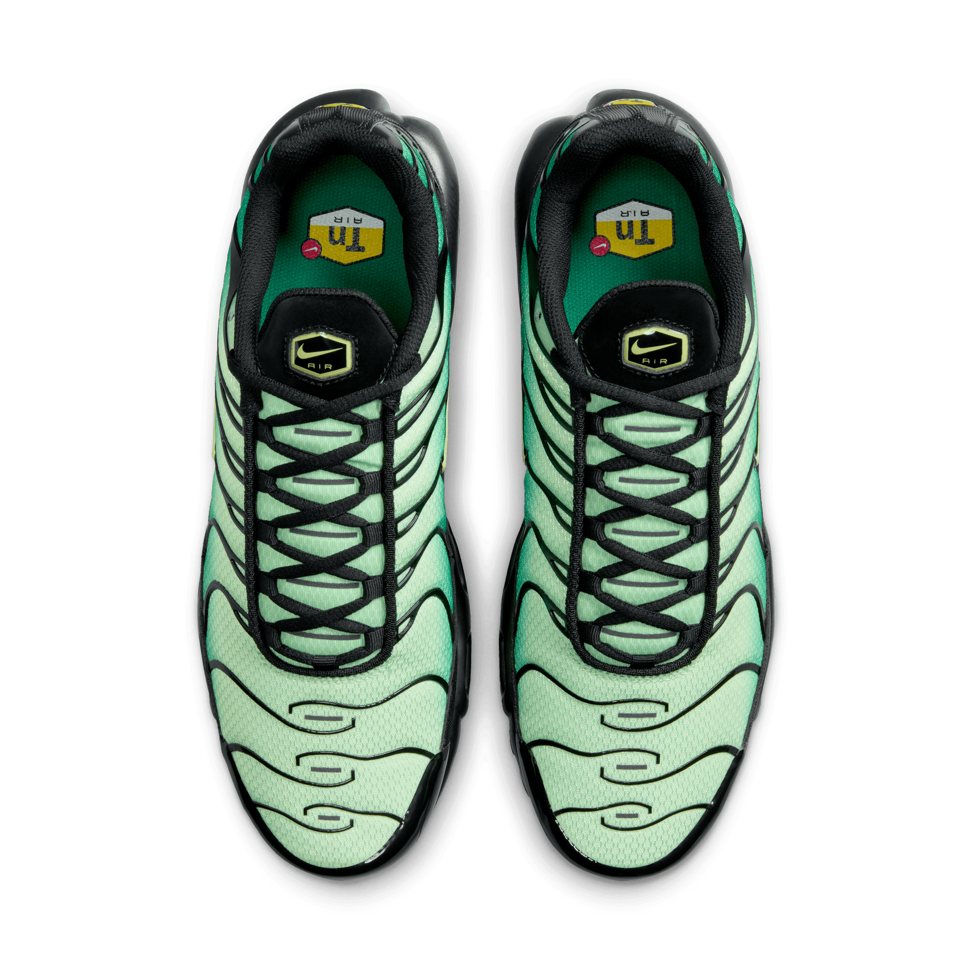 Men's Nike Air Max Plus "Vapor Green Gradient"