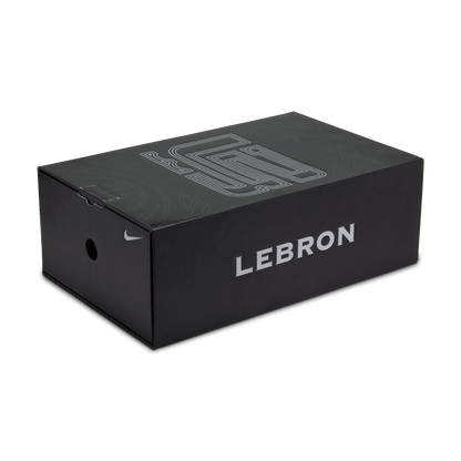 Men's LeBron James Nike Zoom LeBron 2 LX “Beast”