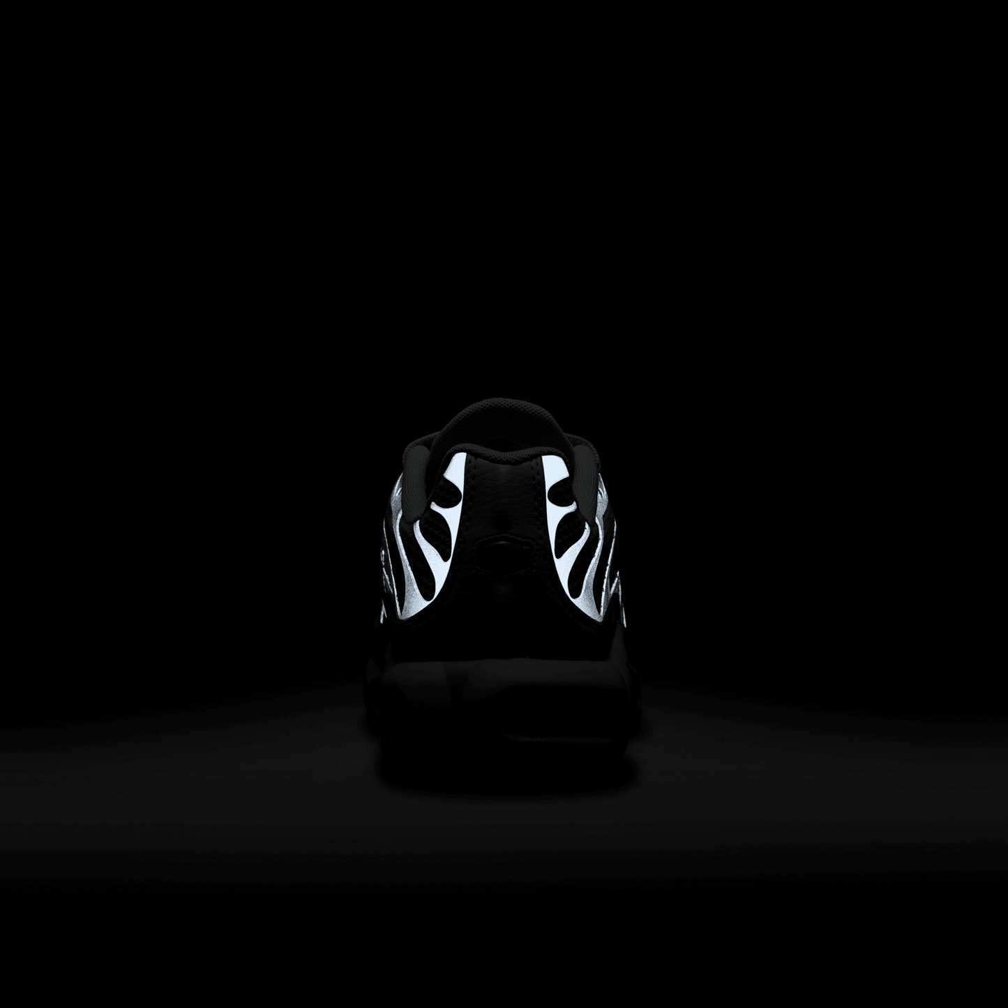Women's Air Max Plus “Grey Sliver Chrome”