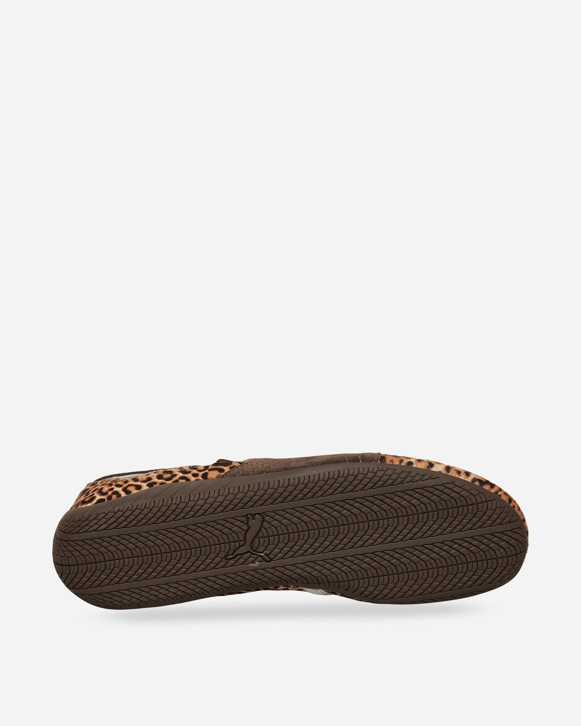 Women's Speedcat Wild Ballet Shoes Chocolate / Warm White