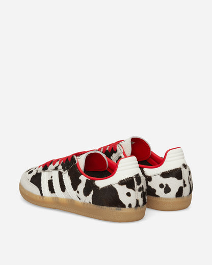 Samba OG Sneakers Aurora Coffee / Off White