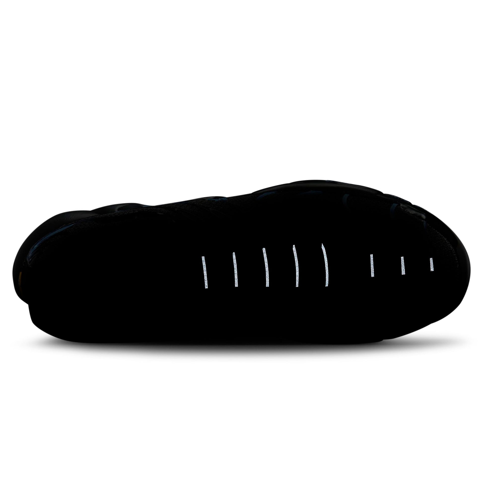 Nike TN Air Max Plus Black University Blue (2022)