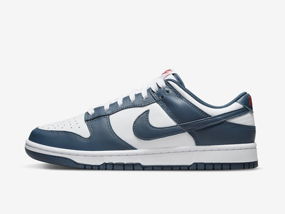 Nike Dunk Low Valerian Blue